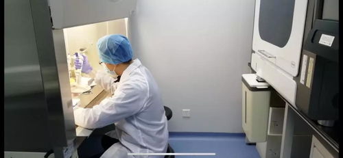 山东首个 2019新型冠状病毒核酸检测试剂盒通过检测